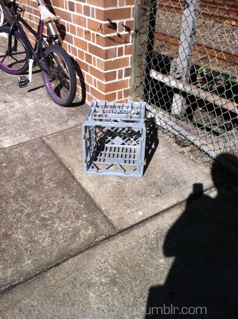 Milk crate and bike