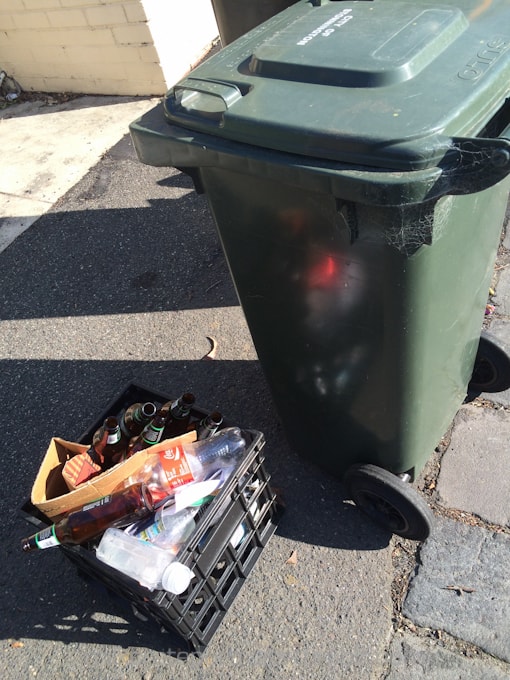 Out with the rubbish