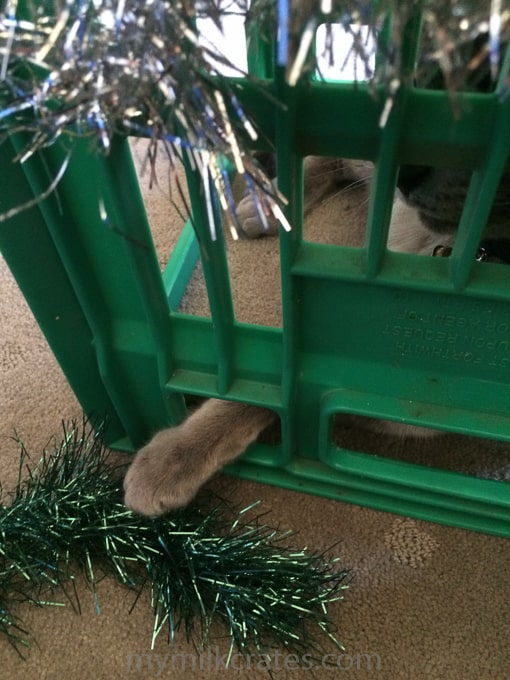 Christmas cat crate