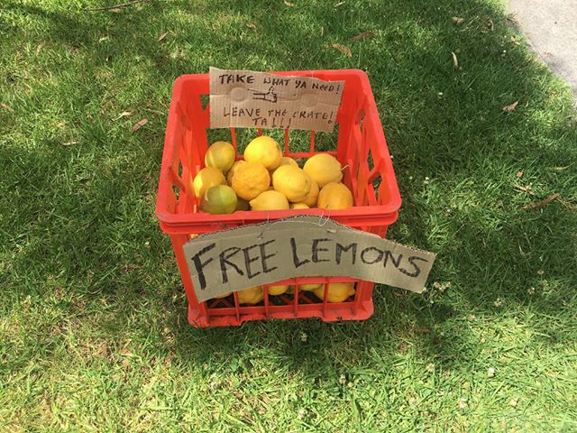 Free lemons! (please leave the crate)