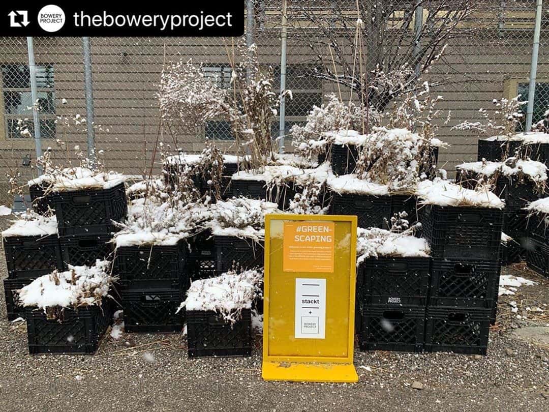 It may be winter but this pollinator garden @stacktmarket is getting ready to attract bees, birds, butterflies and other insects spring summer and fall 2020!!