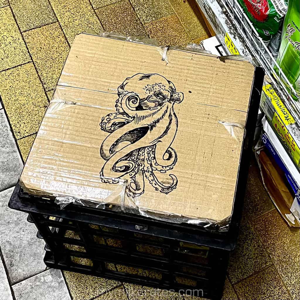 Close up of the Octopus crate